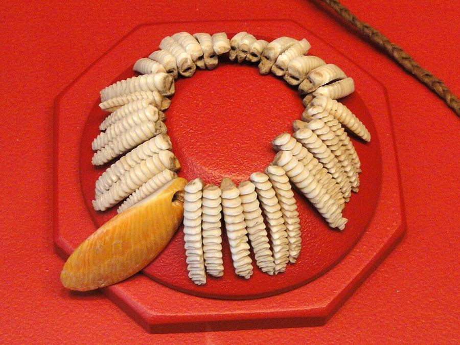 Art & Museums, Nauru