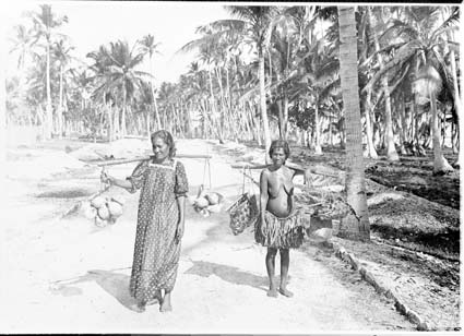 Cuisine & Misattributed Foods, Nauru