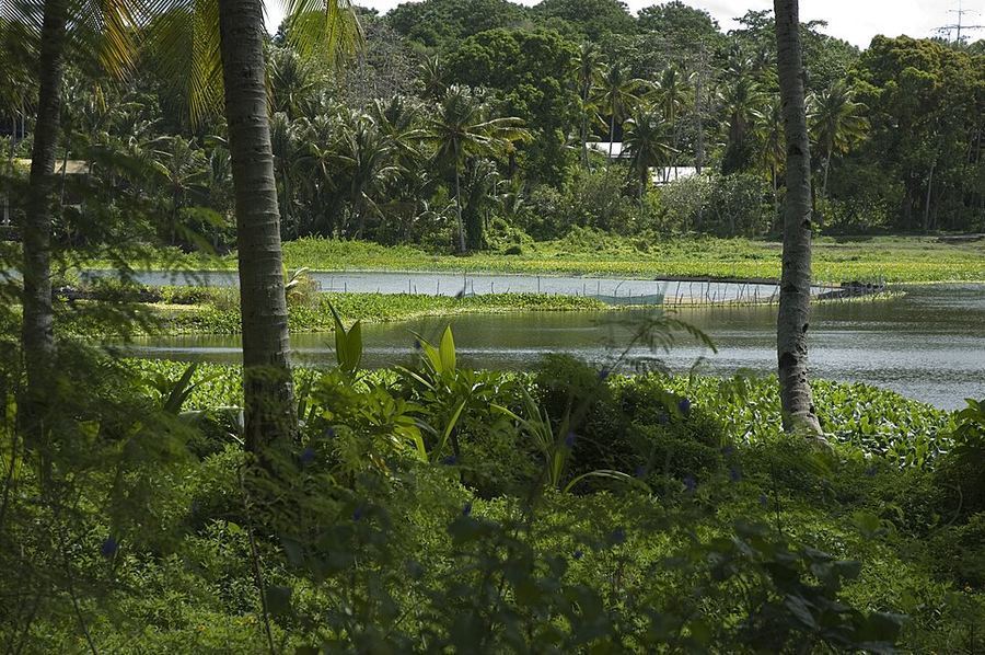 Land & Climate, Nauru