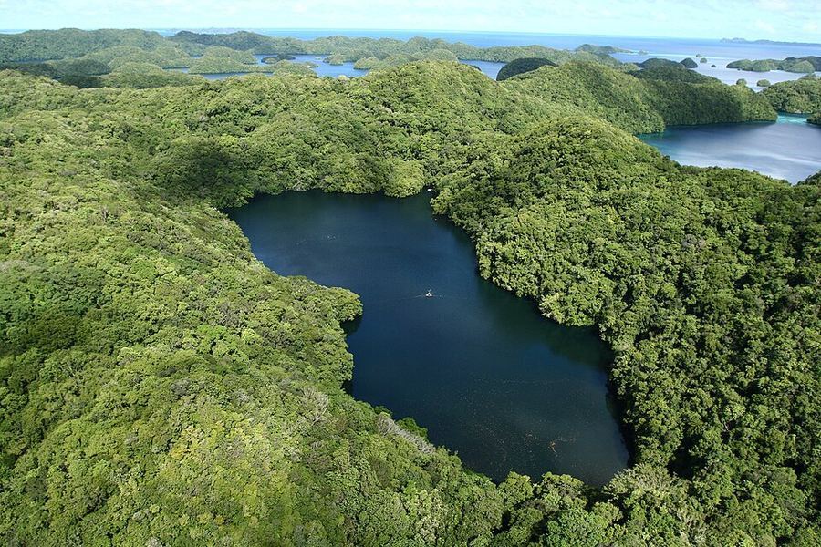 Entertainment, Palau