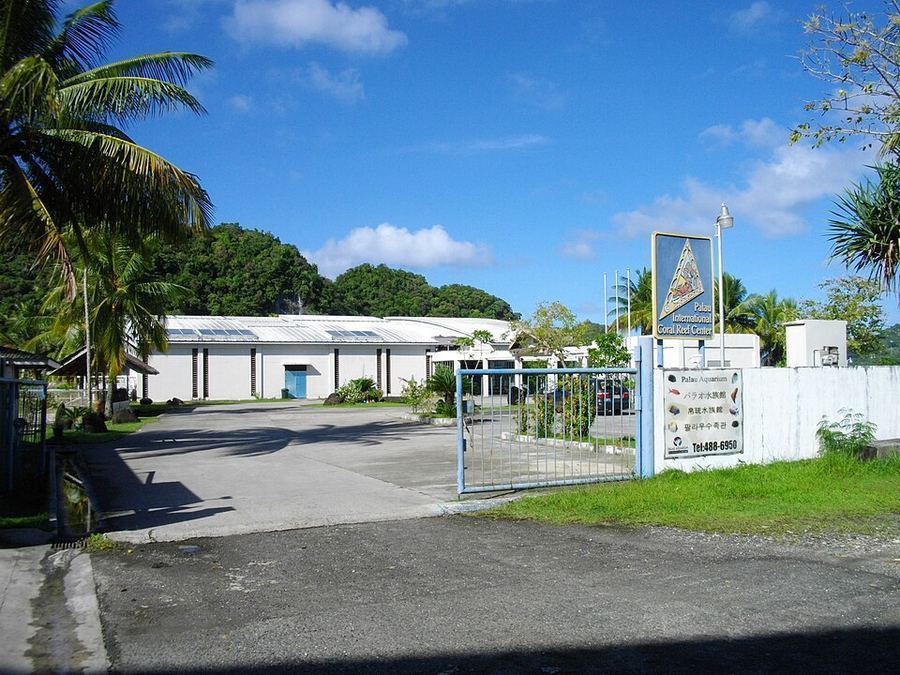 Science & Technology, Palau