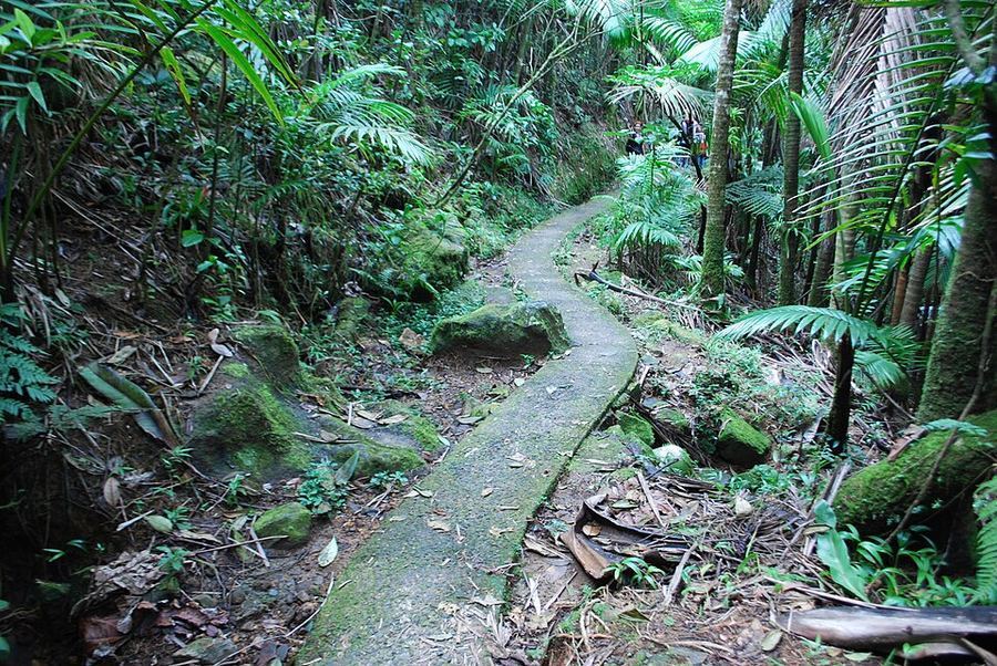 Land & Climate, Puerto Rico