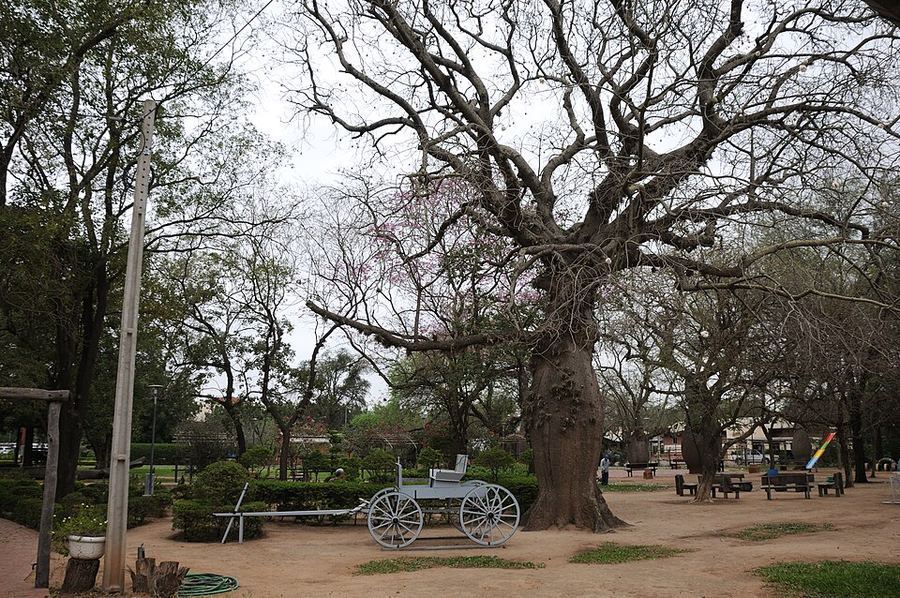 Cultural Fusion, Paraguay