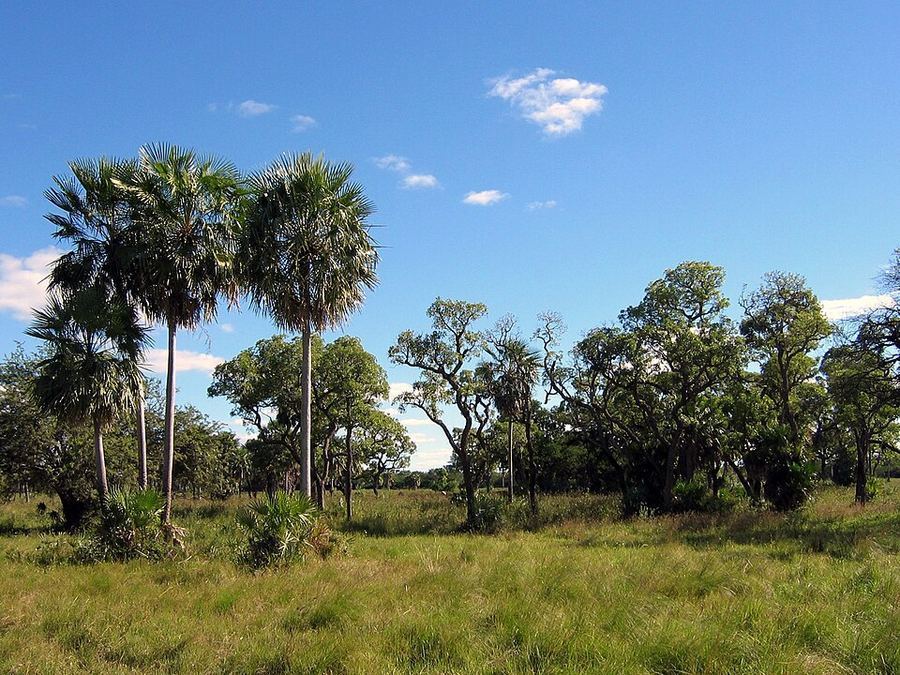 Land & Climate, Paraguay