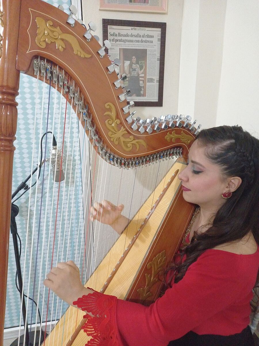 Music & Dance, Paraguay