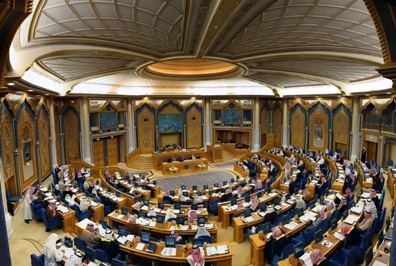 The legislature