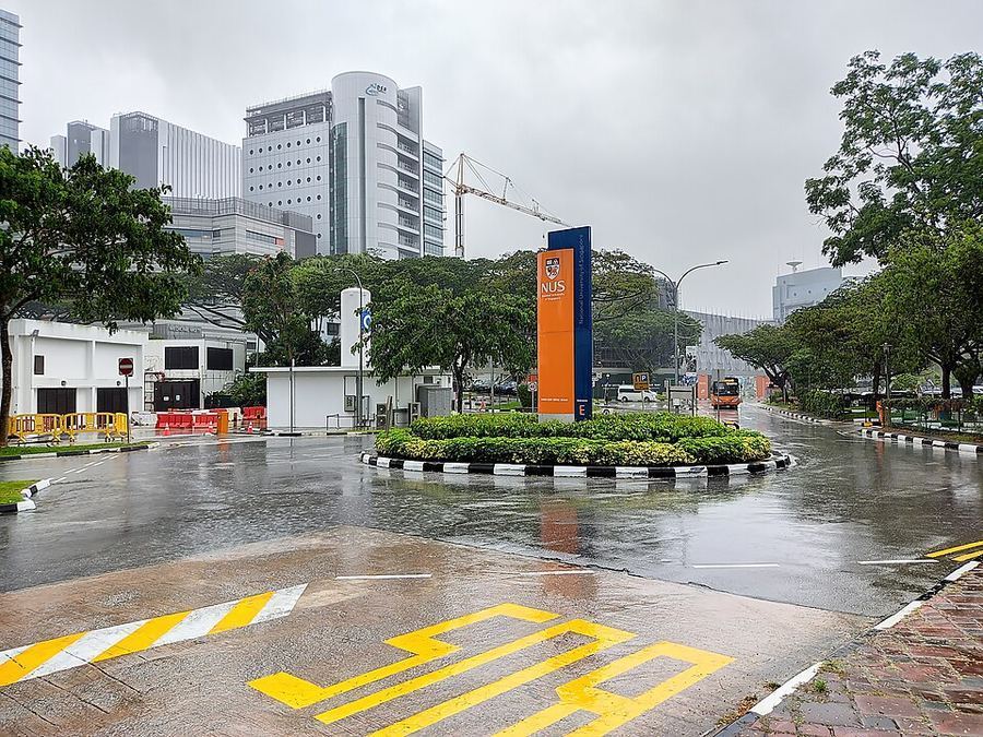 Notable Educational Programs, Singapore
