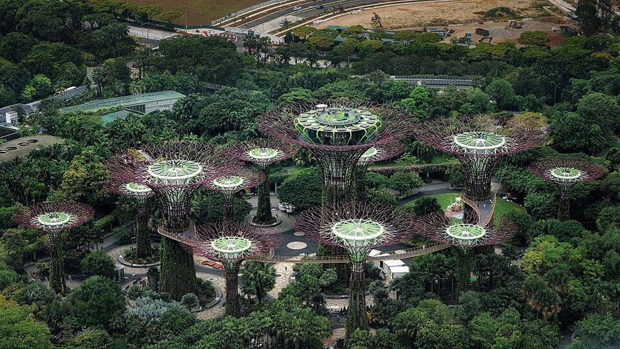 Entertainment, Singapore