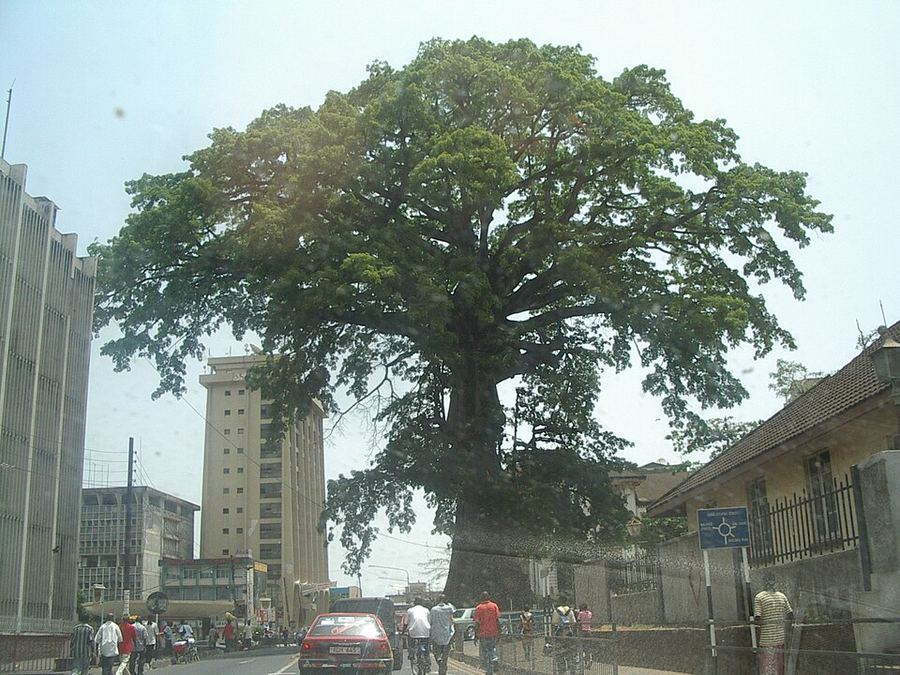 History, Sierra Leone