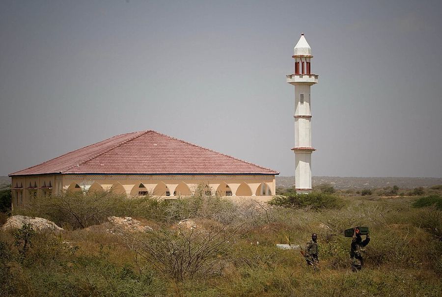 Notable Educational Programs, Somalia