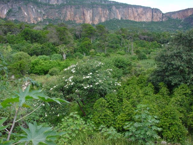 Land & Climate, Somalia