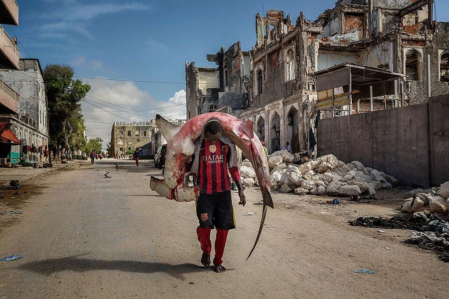Champions of Somalia