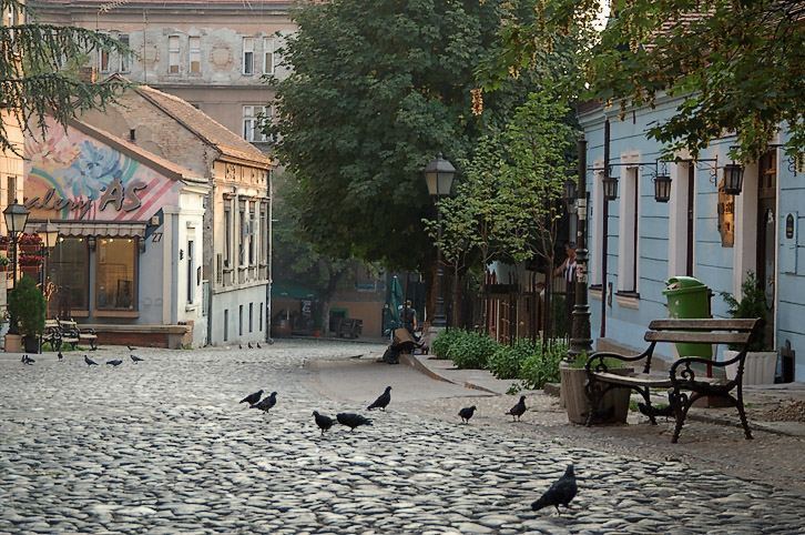 Culture, Serbia