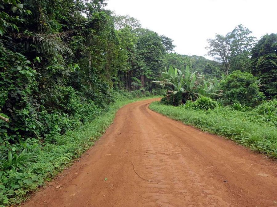 Science & Technology, Sao Tome and Principe