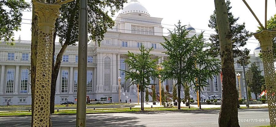 The legislature