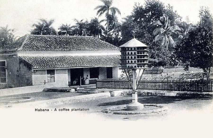 Inventions & Breakthroughs, Timor-Leste