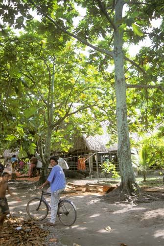 Cultural Fusion, Tuvalu