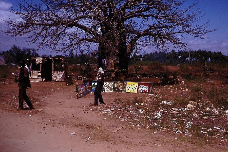 Art & Museums, Tanzania