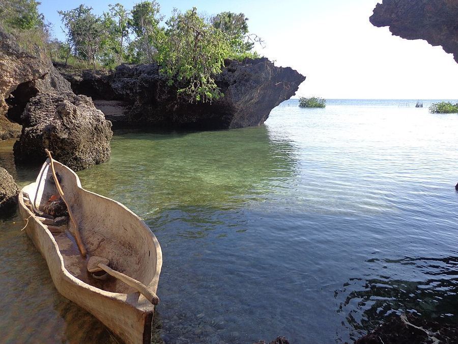 History, Tanzania