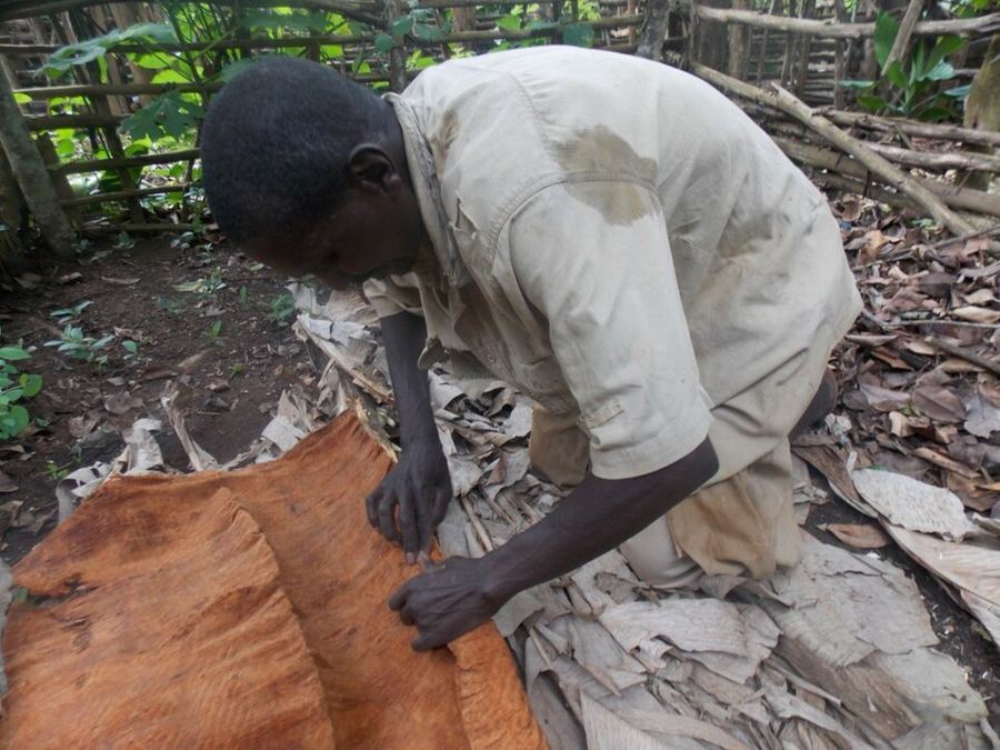 Inventions & Breakthroughs, Uganda