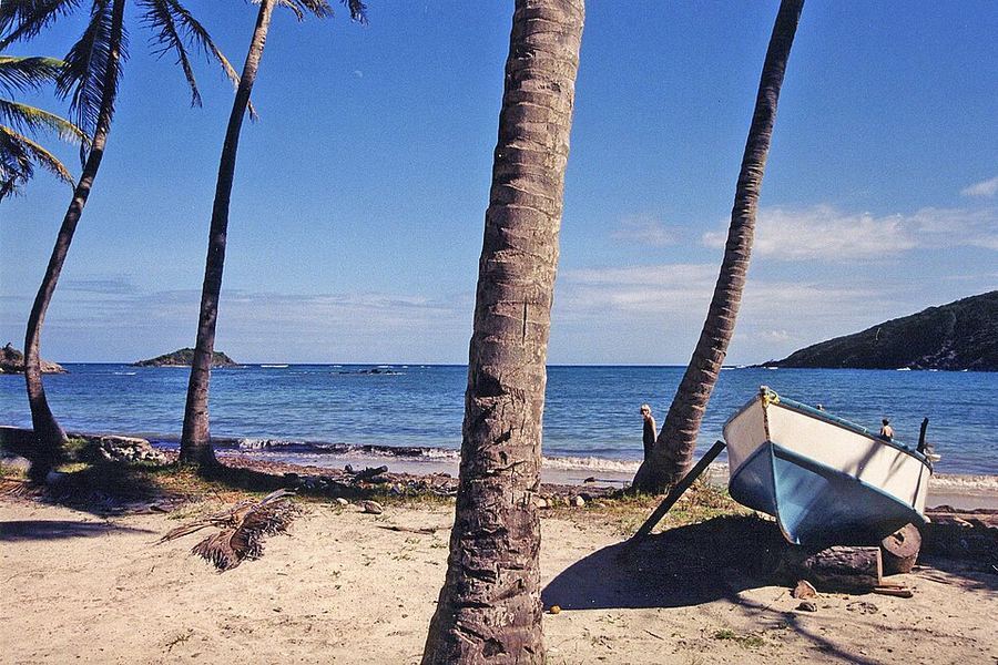 Cultural Fusion, Saint Vincent and the Grenadines