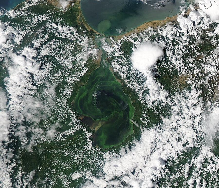 Inventions & Breakthroughs, Venezuela