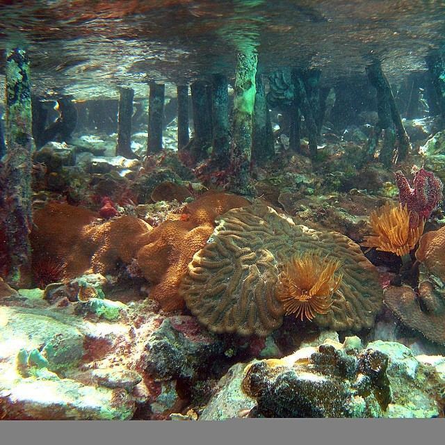 Points Of Pride, U.S. Virgin Islands