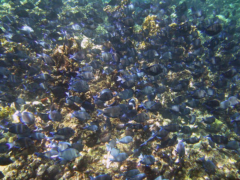 Science & Technology, U.S. Virgin Islands