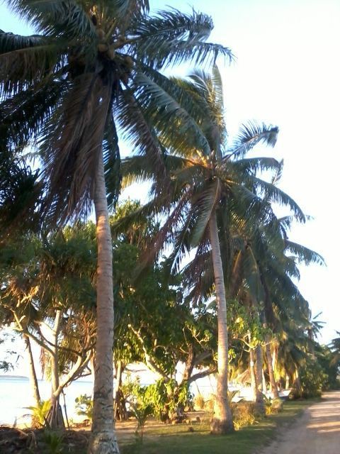 Entertainment, Wallis and Futuna