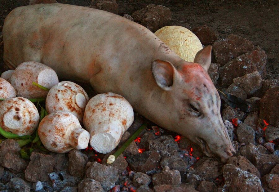 Cuisine & Misattributed Foods, Samoa