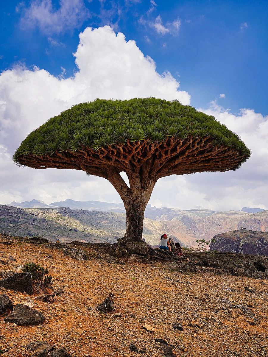 Land & Climate, Yemen