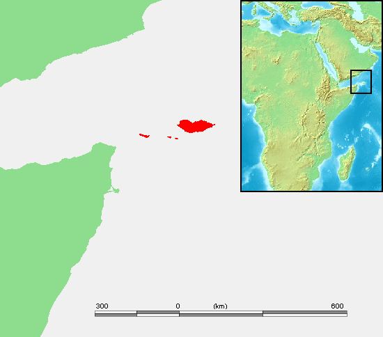 Science & Technology, Yemen
