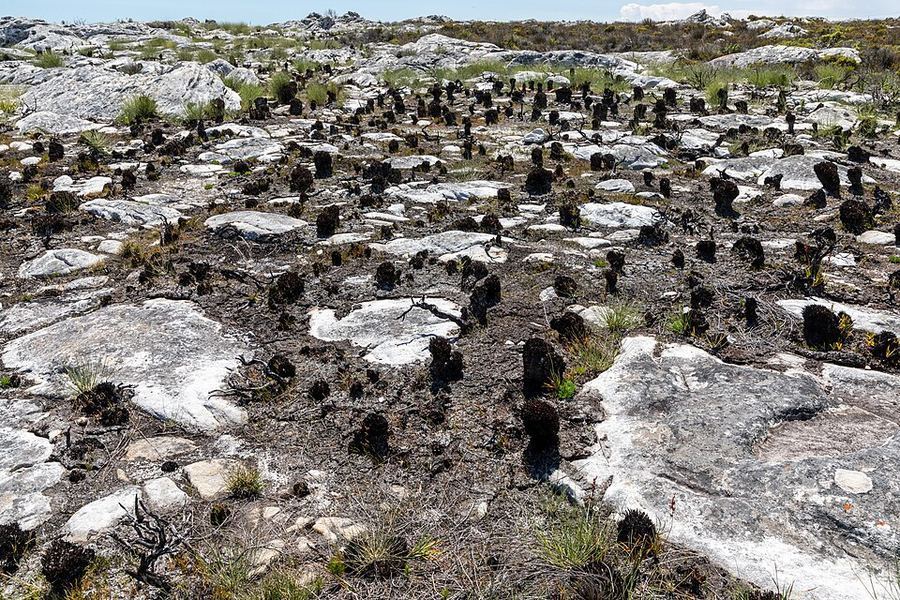 Land & Climate, South Africa