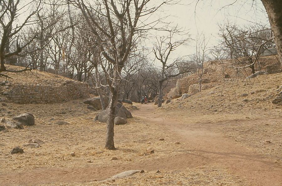 Cultural Fusion, Zimbabwe