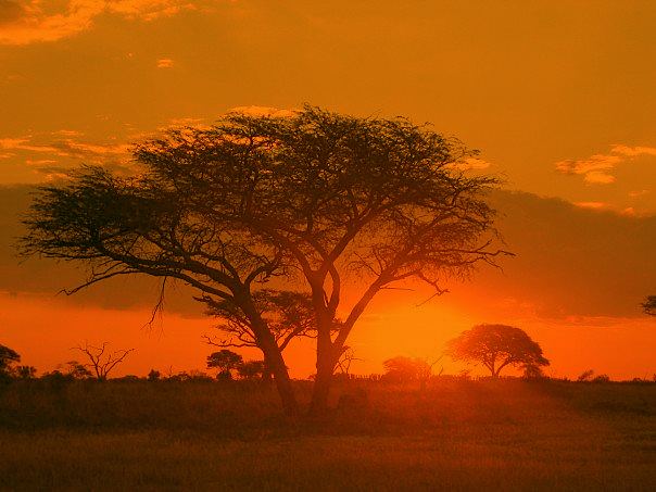 Land & Climate, Zimbabwe