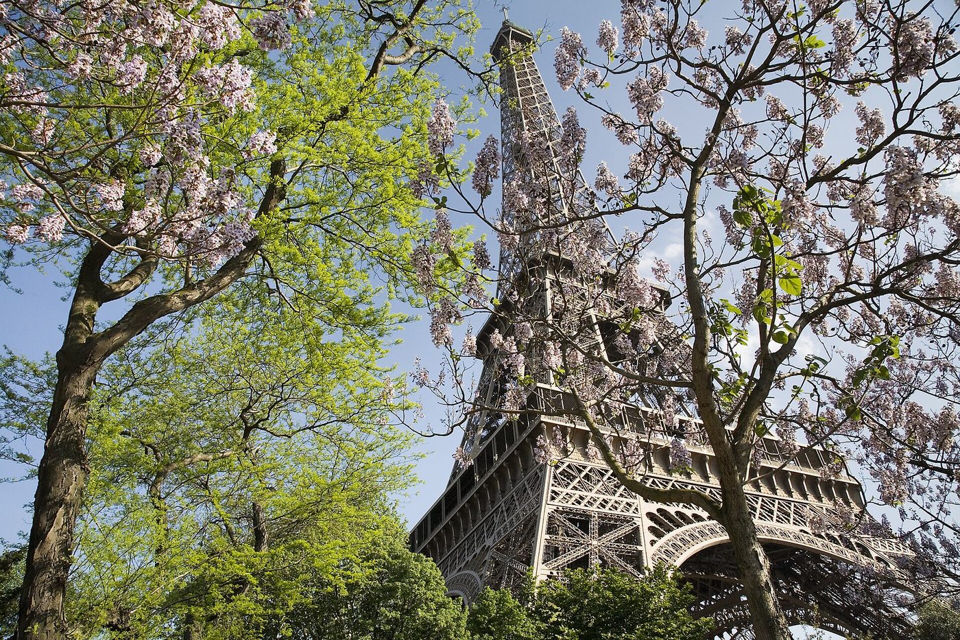 Paris - The Eiffel Tower in spring, France