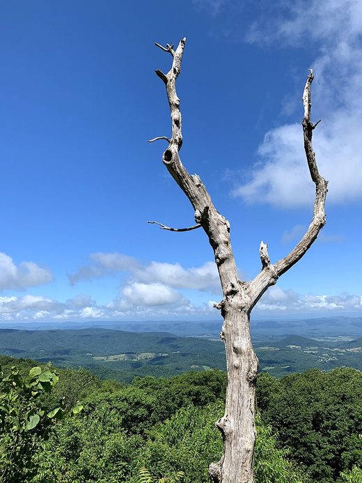 Skyline Drive, Papua New Guinea