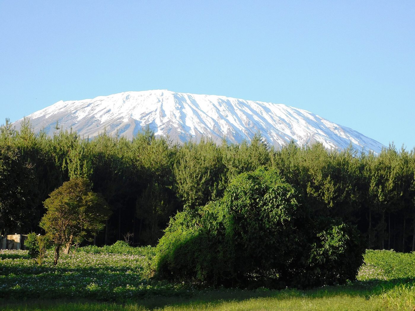 Mountain at the border of Kenya and Tanzania- Mount Kilimanjaro, Tanzania