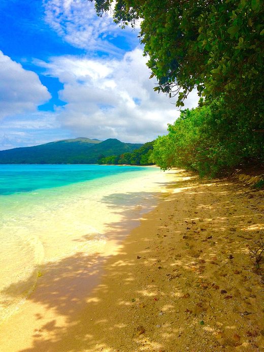 Beach-in-Worearu-Village-on-Pele-Island-Vanuatu, Vanuatu